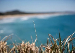 Point Perry, Coolum
