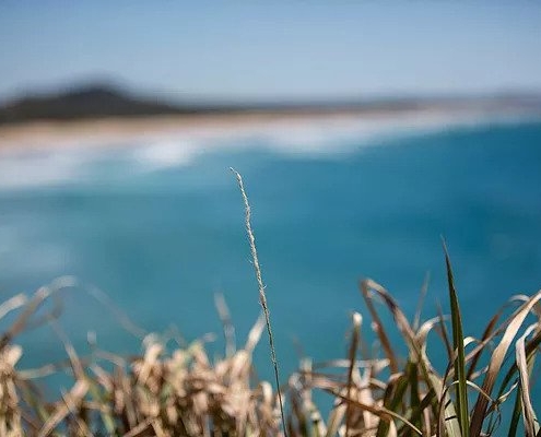 Point Perry, Coolum