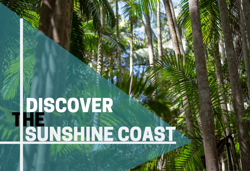 Must see places in the Sunshine Coast hinterland
