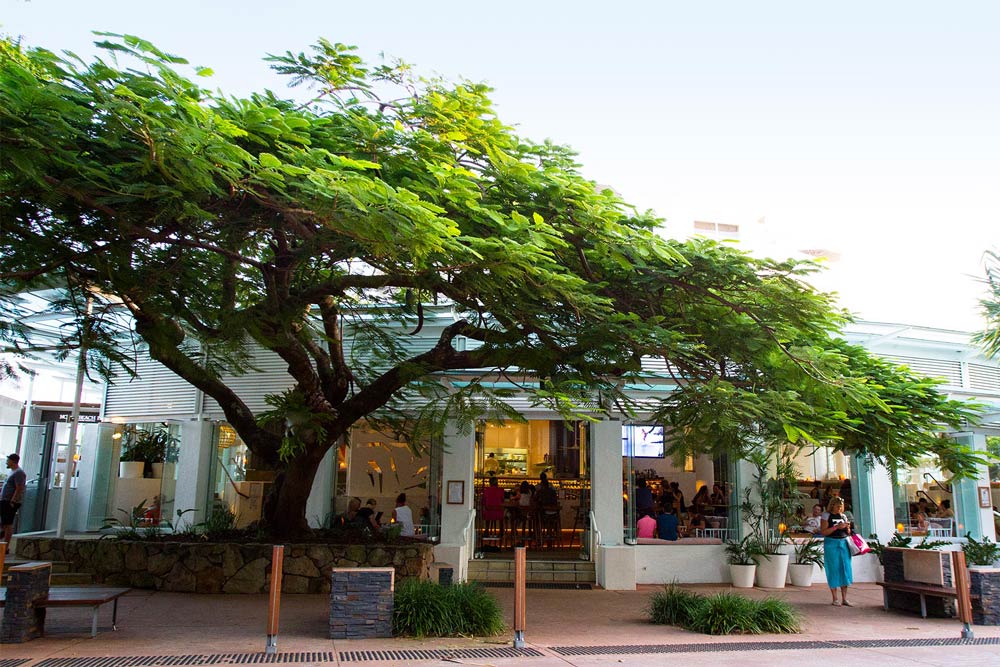 Cool places in Noosa