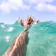 Places-to-see-on-the-Sunshine-Coast