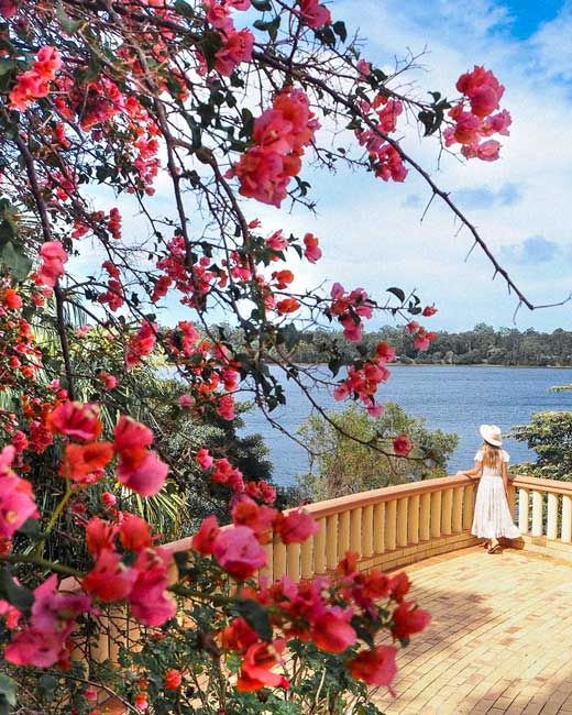 Noosa Botanic Gardens
