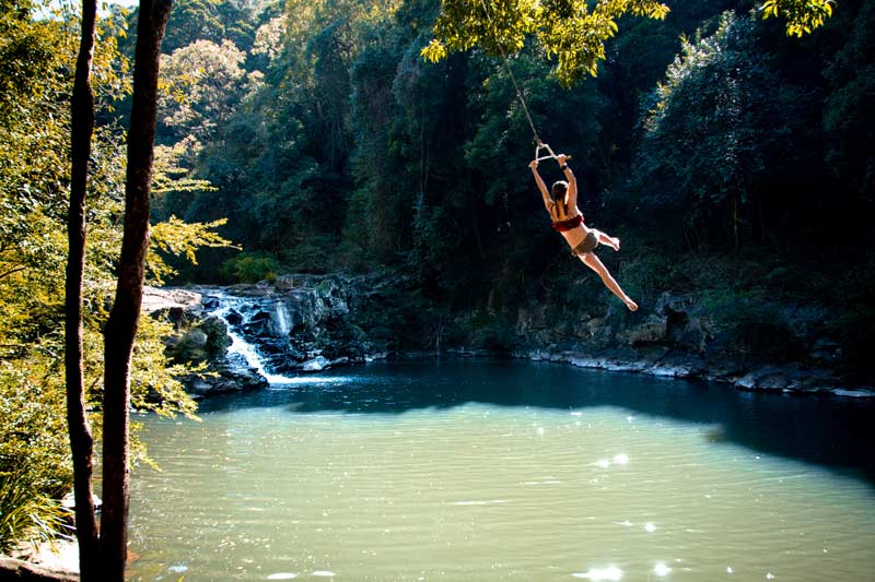 Tours on the Sunshine Coast