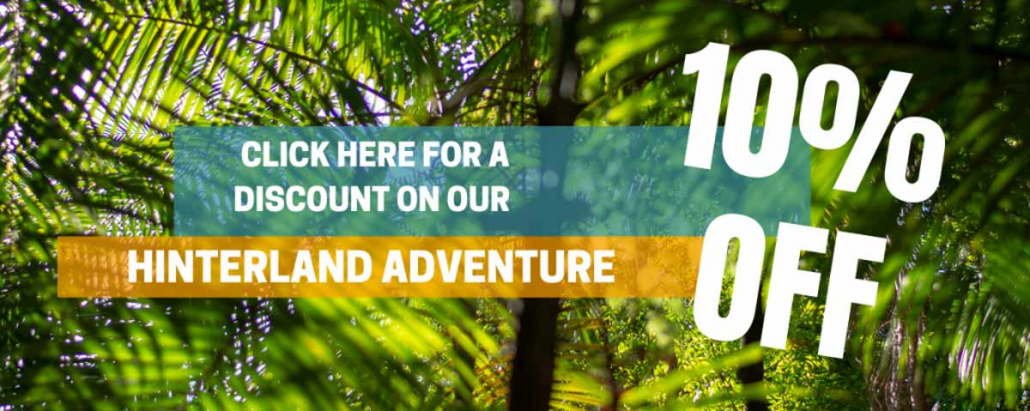 Cool-things-to-do-on-the-Sunshine-Coast